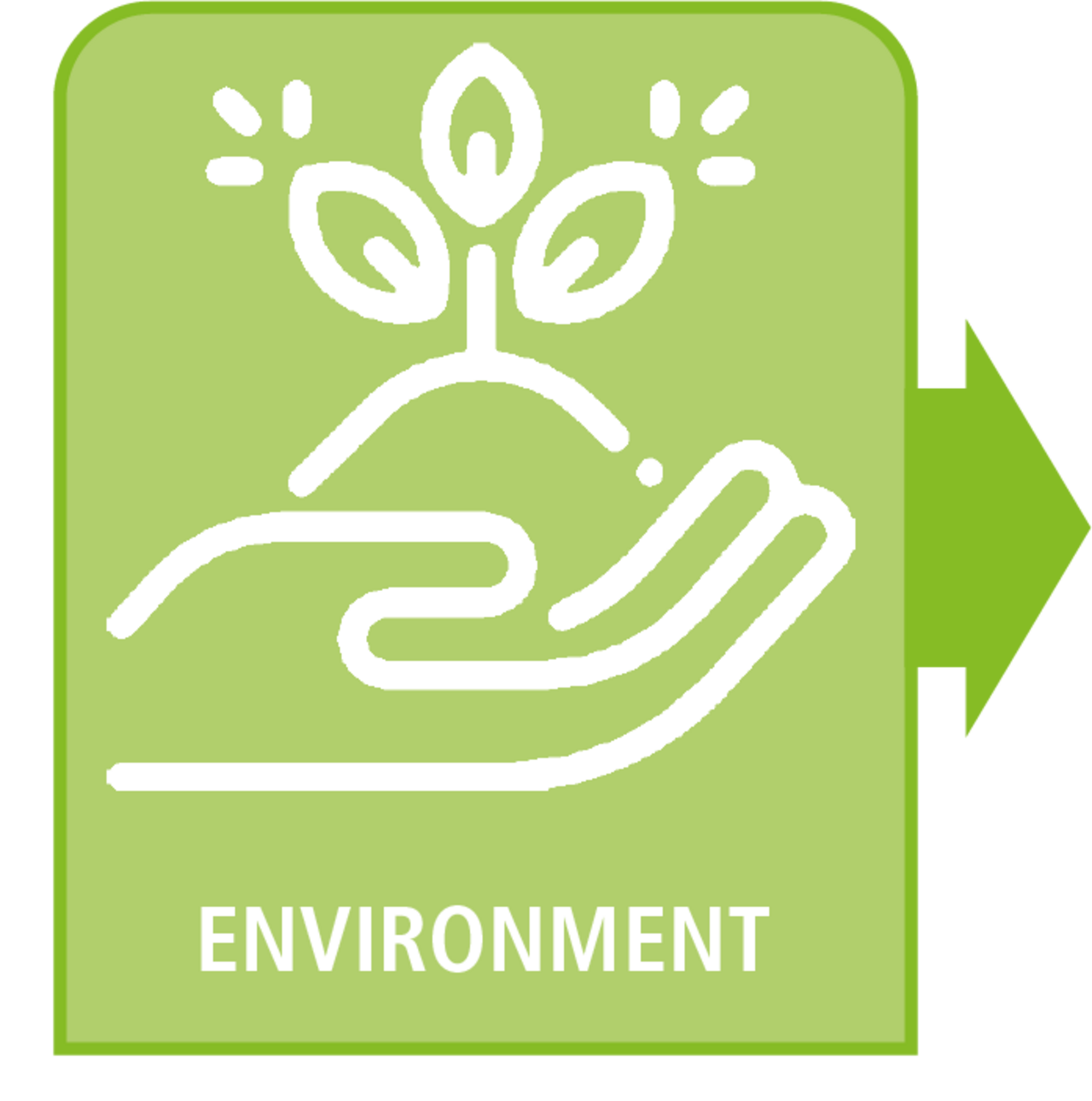 The pillar of the environment