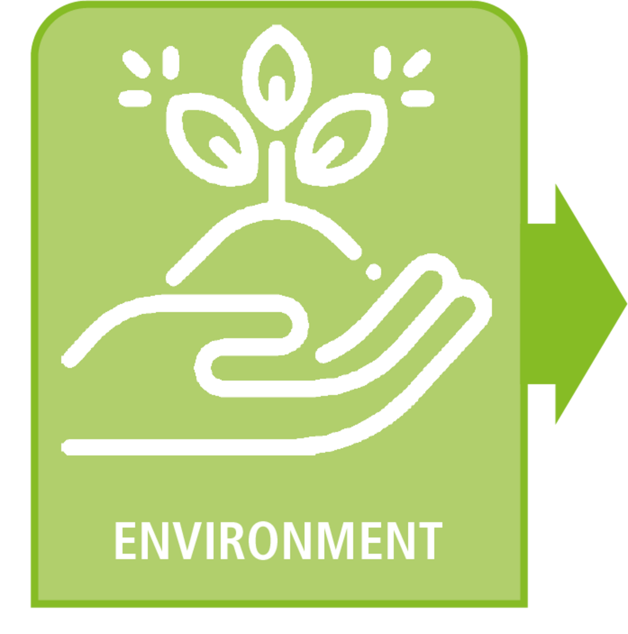 The pillar of the environment