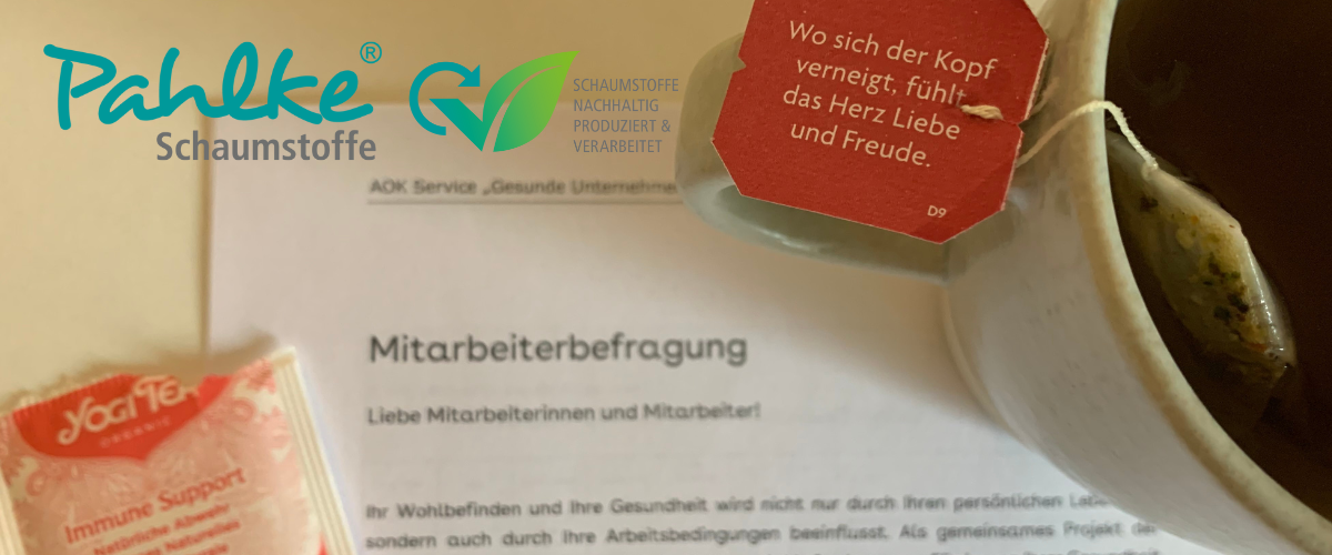 betriebliches-gesundheitsmanagement-pahlke-schaumstoffe Betriebliches Gesundheitsmanagement bei Pahlke Schaumstoffe